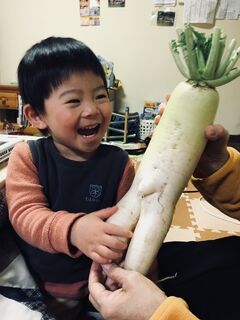 「おばあちゃんから貰った大根」