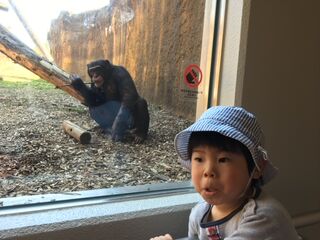 「初めての動物園で」